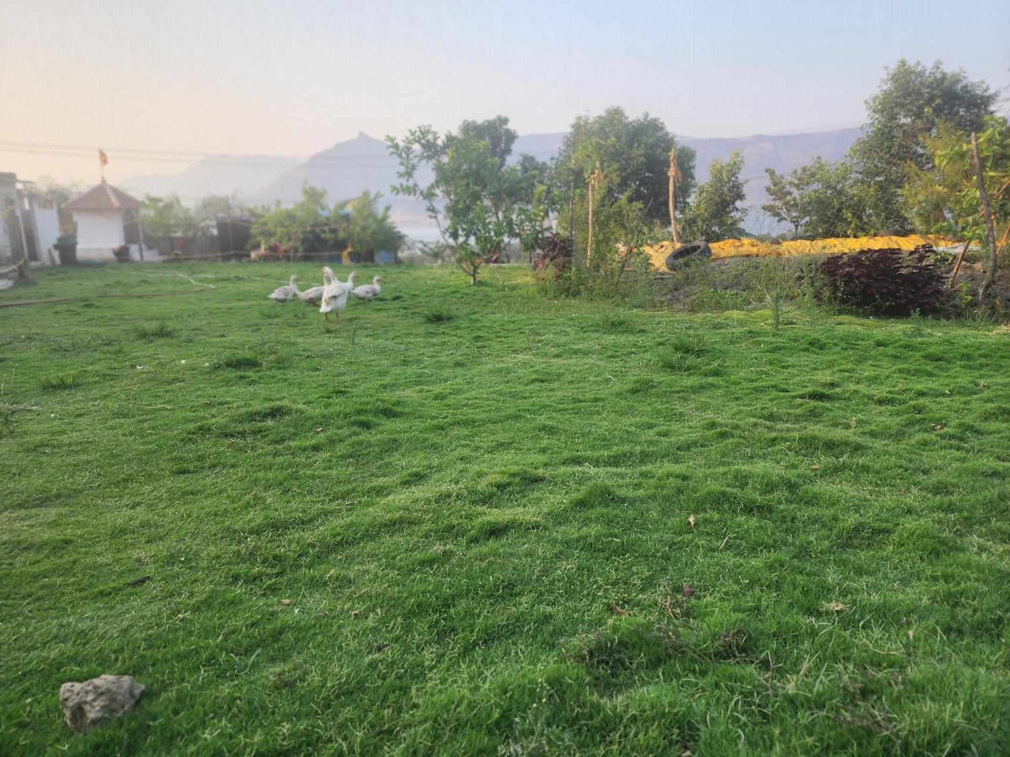Jandyal Farm House 马尔舍吉加特 外观 照片